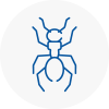 Ant Removals In West Sussex