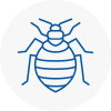 Bed Bug Extermination In West Sussex