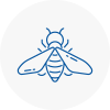 Bee Nest Removal West Sussex
