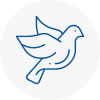 Bird Prevention West Sussex