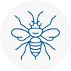 West Sussex Hornet Nest Removals