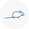 Mice Exterminators In West Sussex