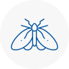 Moth Control Specialists In West Sussex