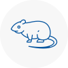 Rat Control West Sussex