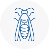 West Sussex Wasp Nest Removal